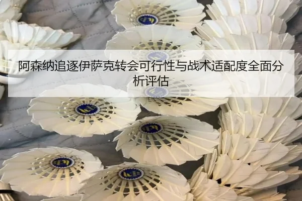 阿森纳追逐伊萨克转会可行性与战术适配度全面分析评估