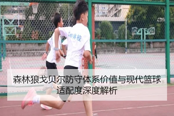森林狼戈贝尔防守体系价值与现代篮球适配度深度解析
